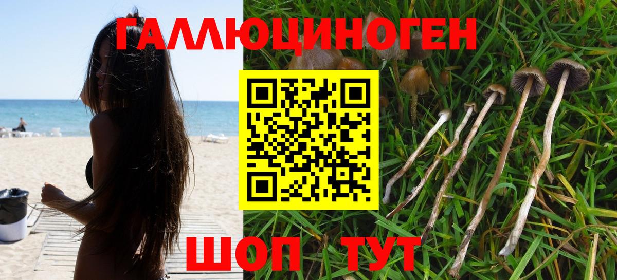 Галлюциногенные грибы Psilocybe  Галлюциногенные грибы Magic Shrooms  что такое   Вход с VPN  Губаха 
