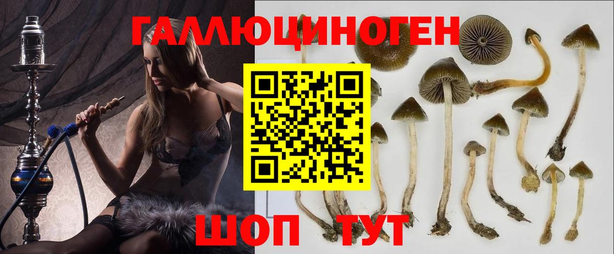 Галлюциногенные грибы MAGIC MUSHROOMS Губаха